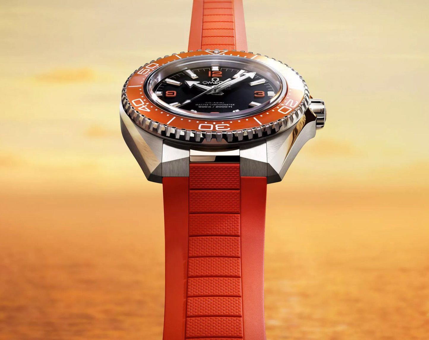 Omega Seamaster Planet Ocean 600M
