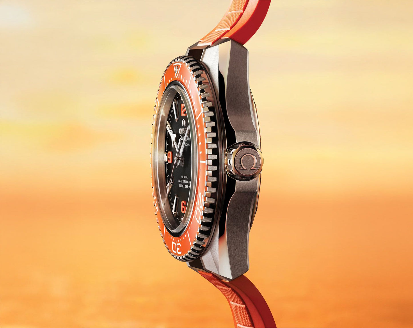 Omega Seamaster Planet Ocean 600M
